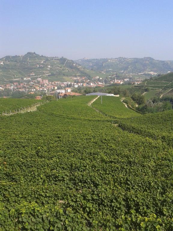 Agriturismo Ai Piacentini Santo Stefano Belbo Zewnętrze zdjęcie