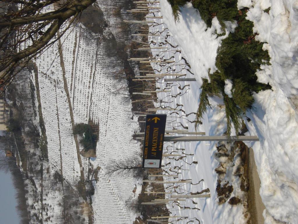 Agriturismo Ai Piacentini Santo Stefano Belbo Zewnętrze zdjęcie