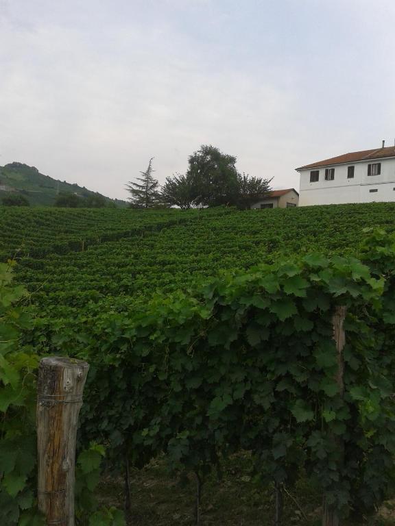 Agriturismo Ai Piacentini Santo Stefano Belbo Zewnętrze zdjęcie
