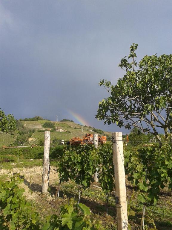 Agriturismo Ai Piacentini Santo Stefano Belbo Zewnętrze zdjęcie
